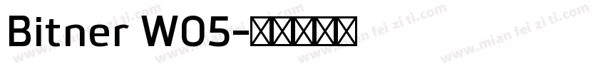 Bitner W05字体转换